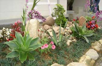 Salles Paisagismo e Jardinagem - Foto 1