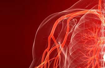 Dr. Austelino Ferreira Mattos - Foto 1