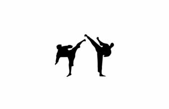 Nintaikan Dojo - Foto 1