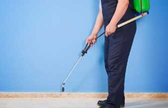 Tserv Dedetizadora - Foto 1