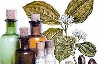 L’officine Farmácia de Manipulação e Homeopatia - Foto 1
