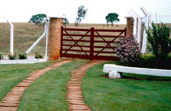 Sítio Solar das Estrelas - Foto 1