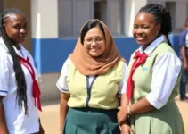 uniformes escolares e creche