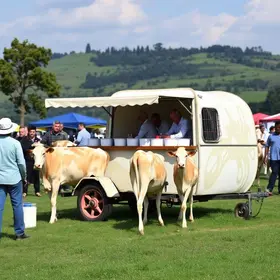 Caravana Giro do Leite