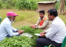 reunião de segurança rural