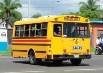 suspensão de atividades com transporte escolar