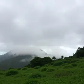 clima em Mogi das Cruzes