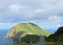 Caminho da Capacitação