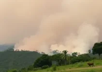 queimadas em Mogi das Cruzes