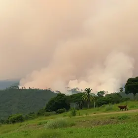 queimadas em Mogi das Cruzes