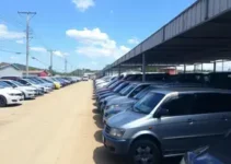 leilão do governo de SP em Mogi das Cruzes