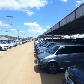 leilão do governo de SP em Mogi das Cruzes