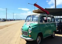 visitação de veículos para leilão