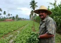 crédito emergencial para produtores de Mogi das Cruzes